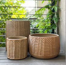   Load image into Gallery viewer, Wide Fern Planter - Made to Order
