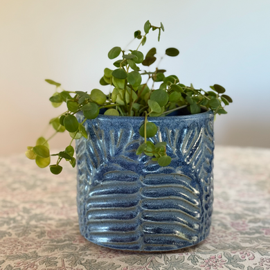 Fern Planter - cornflower
